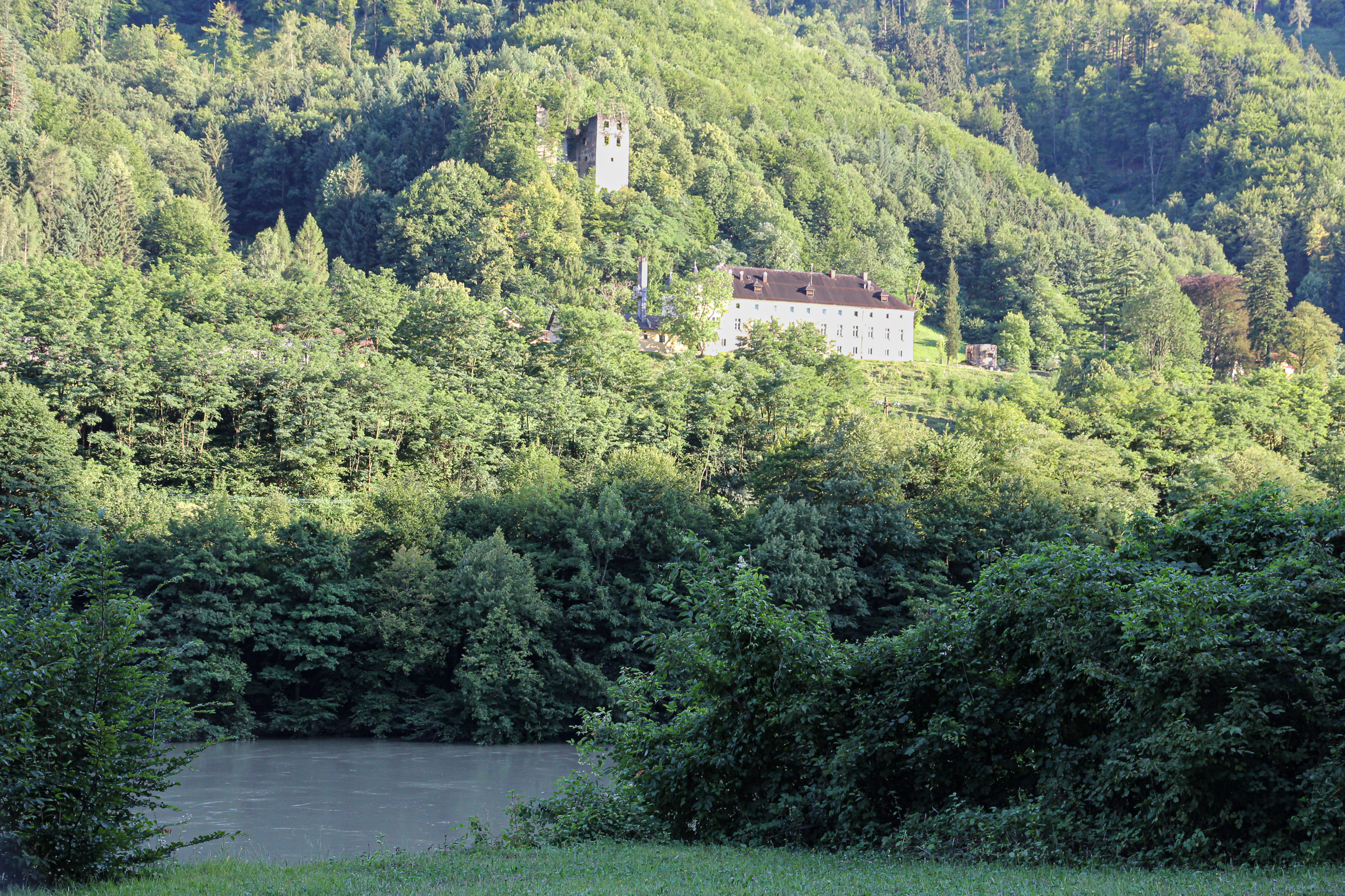 Über der Drau: Schloss und Burgturm im dichten Grün des Steilhangs